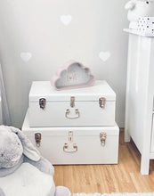 Load image into Gallery viewer, White Storage Case SET!!